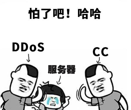 DDoS和CC攻击的技术原理有哪些区别？