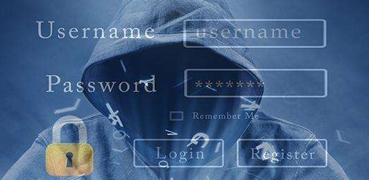 揭示高防CDN的局限性与探讨其小众化原因